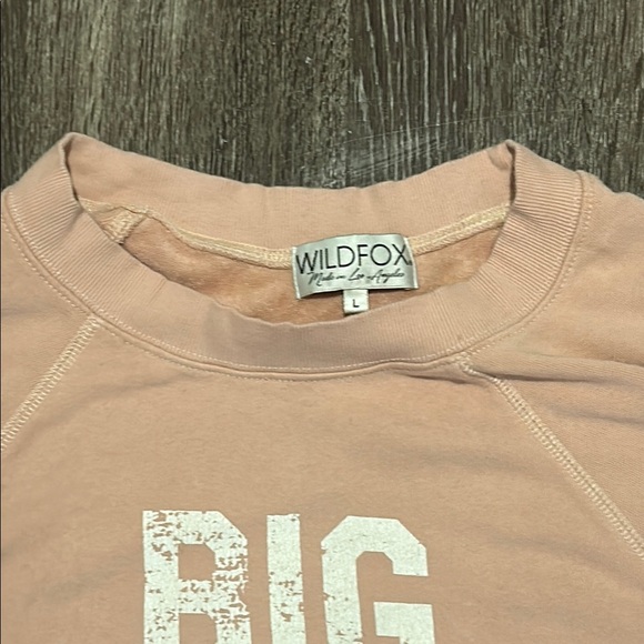 Wildfox Pink 'Big Sports Fan' Sweatshirt - Picture 4 of 7